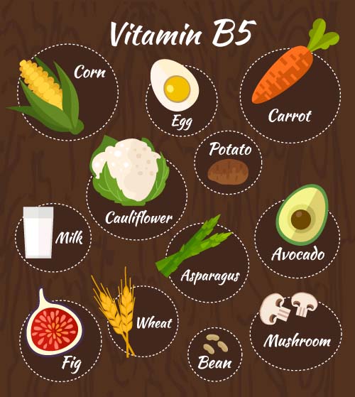 ビタミン健康的な食事ベクター材料02 健康 ビタミン ダイエット   