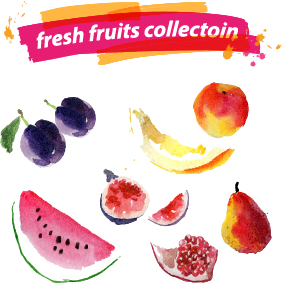 Aquarelle fruits frais Set 04 vecteur fruits frais aquarelle   