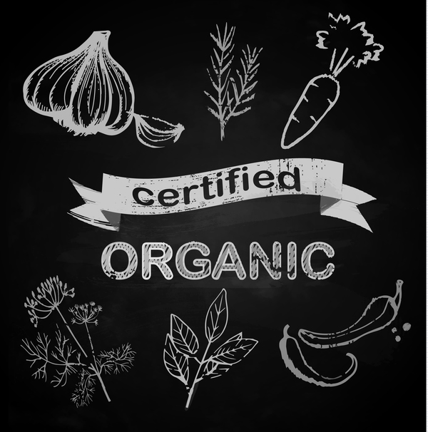 Bio-Gemüse mit Kreidebrett-Hintergrundvektor Gemüse chalkboard bio   