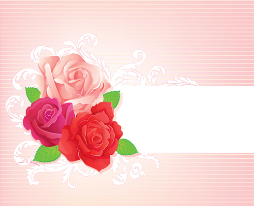 Belle conception de vecteur de bannière de rose rose Belle Bannière   