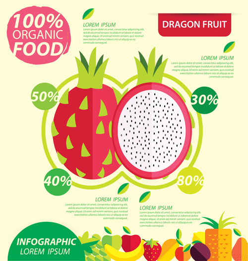 Modèle de vecteurs infographiques de fruits plats 04 plat modèle infographie fruits   