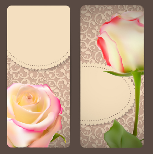 Rosenkarten mit Dekordmuster-Vektor 02 rose Muster Karten Dekor   