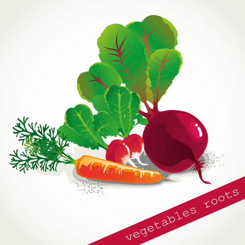 Vecteur de conception de racines de légumes racines légumes légume   