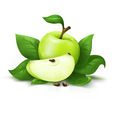 Frischer grüner Apfeldesign Vektor green fresh apple   