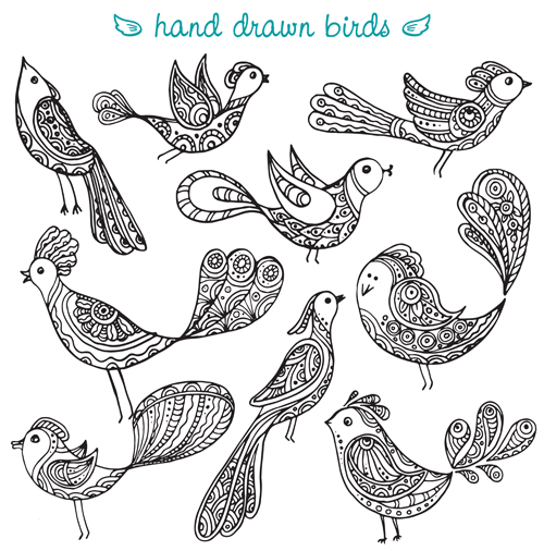 Hand gezogene Vögel Vektorset Vogel hand gezogen   