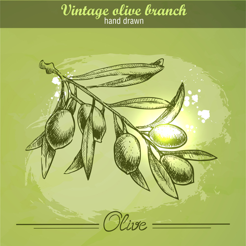 Vintage olive Cranch dessiné à la main vecteur 02 vintage olive main dessiné cranch   