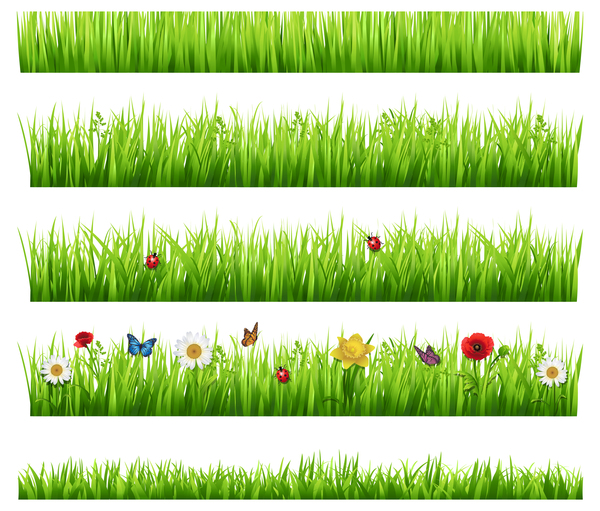 Grasränder mit Blumenvektor 02 Grenzen Gras Blume   
