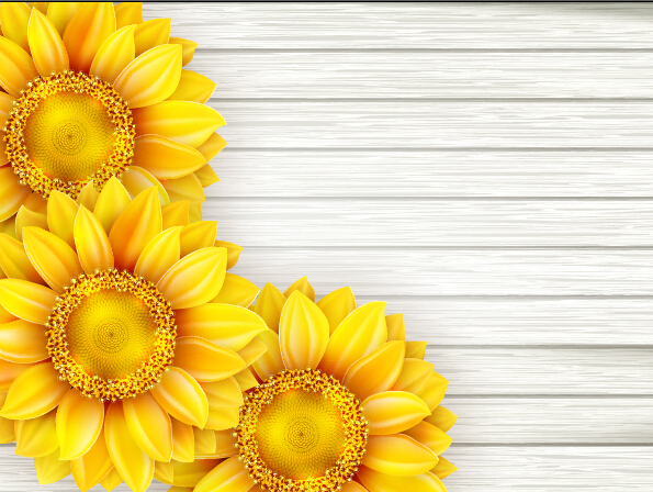 Schöne Sonnenblumen mit Holzfußgrintervektor 02 Sonnenblumen Schön Holz Hintergrund   