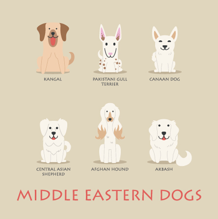 Nahost-Hunde Ikonen Vektor Osten Mitte Ikonen Hunde   