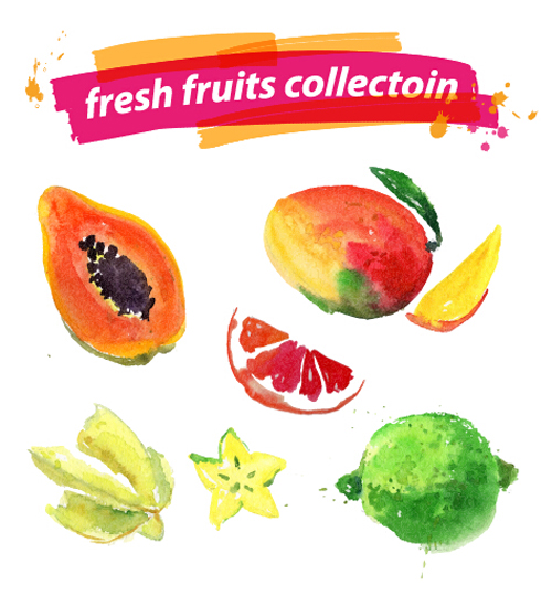 Aquarelle fruits frais Set 03 vecteur fruits frais aquarelle   