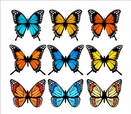 カラフルな蝶イラストベクターコレクション02 蝶 コレクション カラフル イラスト   