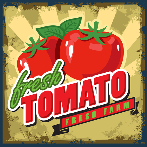 Frisches Plakatvektormaterial im Tomaten-Retro-Stil 06 Vektormaterial Tomaten Retro-Stil poster material   