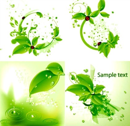 Frische grüne Blätter und Marienkäfer Hintergrundvektor Marienkäfer Hintergrund grün Frisch Blätter   
