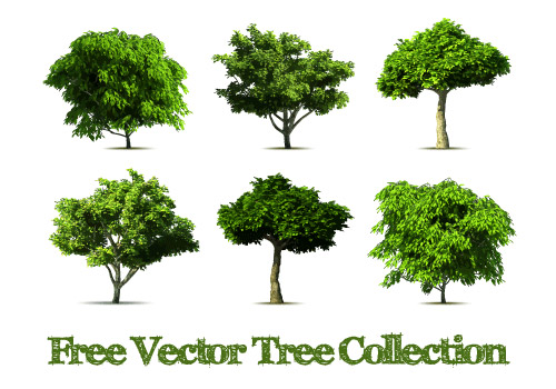 Realistische Baum-Vektordesign Grafiken realistisch design Baum   