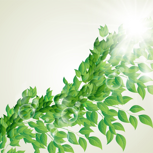 Leuchtend grüne Blätter mit Luftblase Vektorhintergrund 02 Vector-Hintergrund Urlaub grüne Blätter bubble bright   