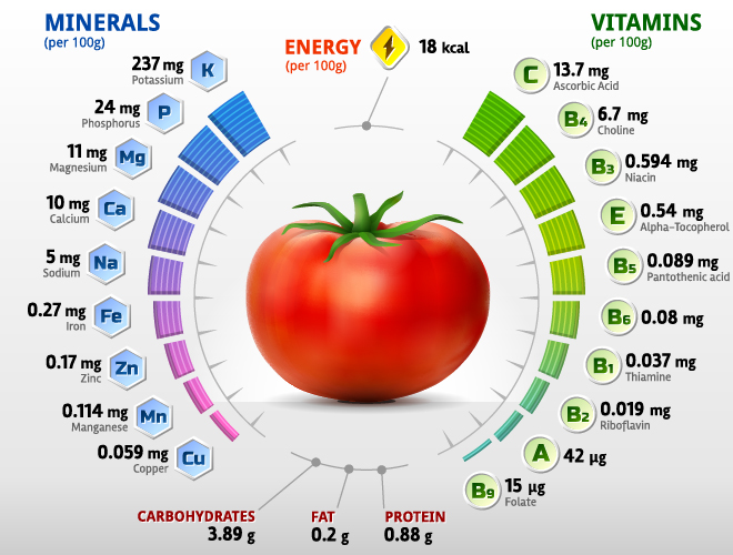 Vecteur d’infographies de vitamines de tomate vitamines tomate infographies   