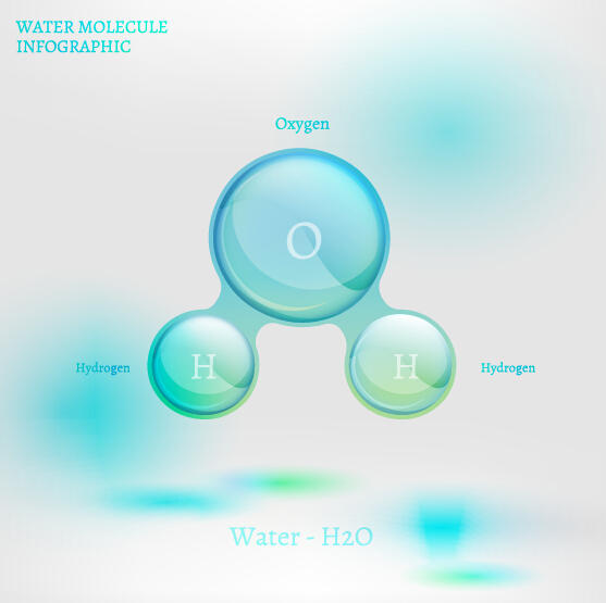 L’eau molécule infographies vecteurs créatifs ensemble 04 molecule infographies eau   