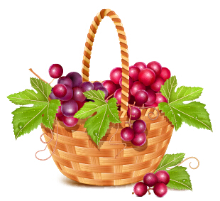 Vecteur de conception de panier et de raisin raisins panier   