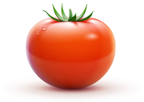 ジューシーフレッシュトマトグラフィックベクター03 フレッシュ トマト ジューシー   