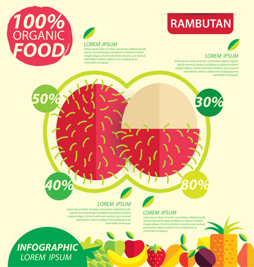 Modèle de vecteurs infographiques de fruits plats 02 plat modèle infographie fruits   