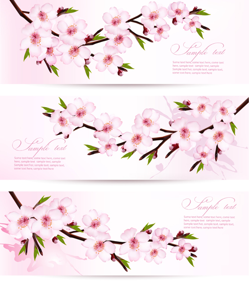 Rosa sakura Banner Vektormaterial Vektormaterial pink material design banner   