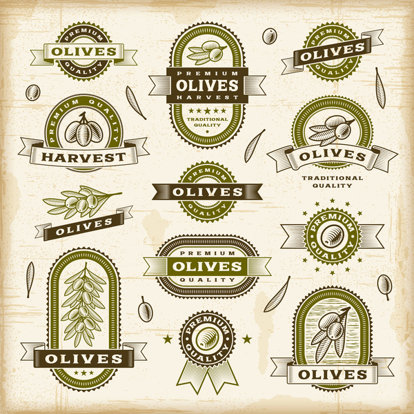 Étiquettes d’olive Vintage ensemble vecteur vintage olive étiquettes   
