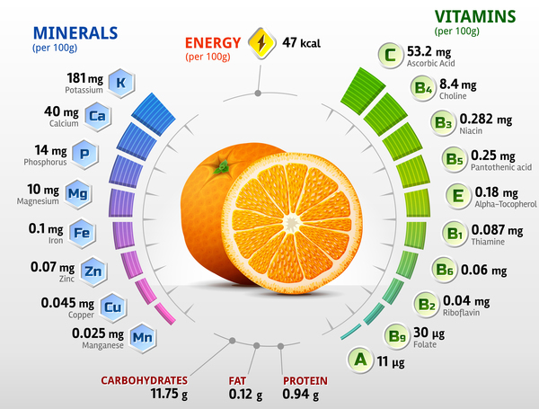 Genorane-Vitaminen Infografie-Vektor Vitamine orange Infografik   