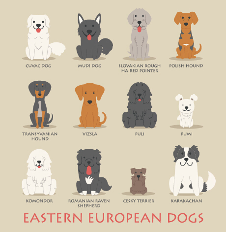 東ヨーロッパの犬のアイコンの材料 犬 東 ヨーロッパ アイコン   