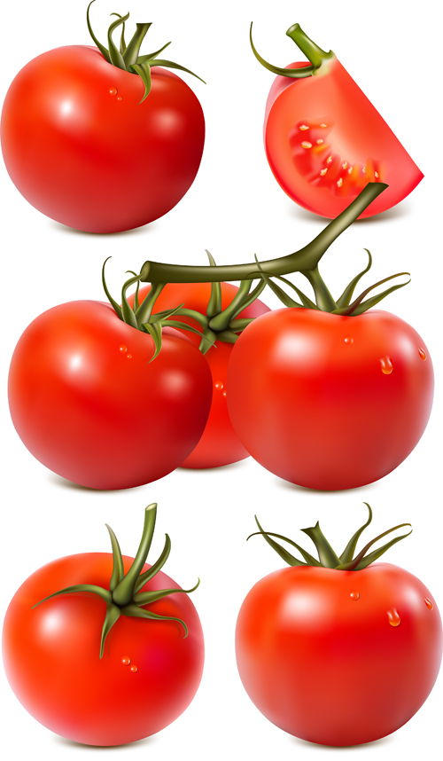 ジューシーフレッシュトマトグラフィックベクター02 フレッシュ トマト ジューシー   