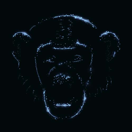 Singe avec le vecteur clair et noir de fond 05 singe Noir lumière fond   