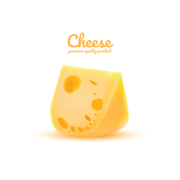 Vecteur réaliste de fromage de qualité supérieure 05 réaliste qualité premium fromage   