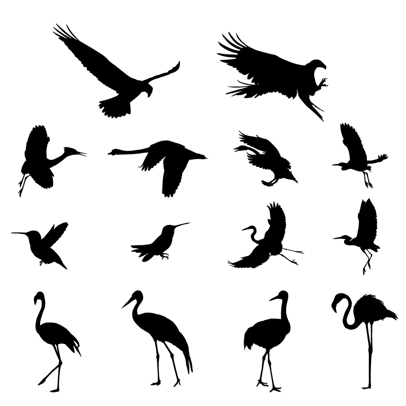Divers oiseaux silhouettes vecteur ensemble 02 silhouettes silhouette oiseaux Oiseau divers   