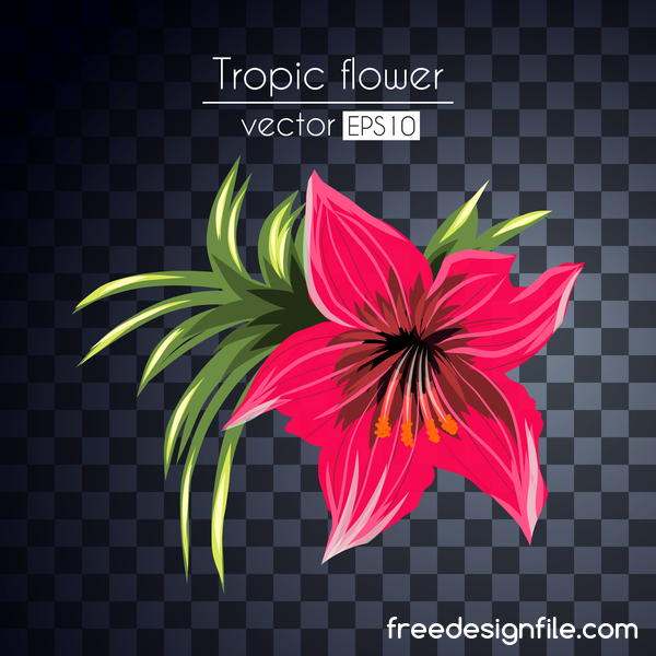 Vektor tropische Blumen Illustration Vektor 02 tropisch Blumen   