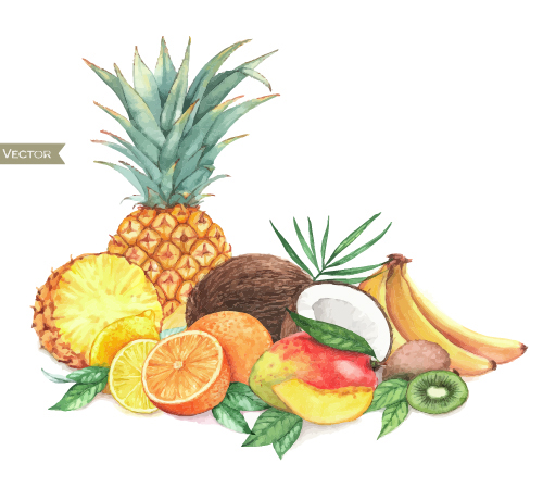 異なる果物の水彩画ベクトルデザイン01 異なる 水彩 果物 カラーベクトル   