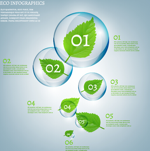 Öko-Infografik und hinterlässt Blasenvektor 15 Öko Infografik Blätter Blase   