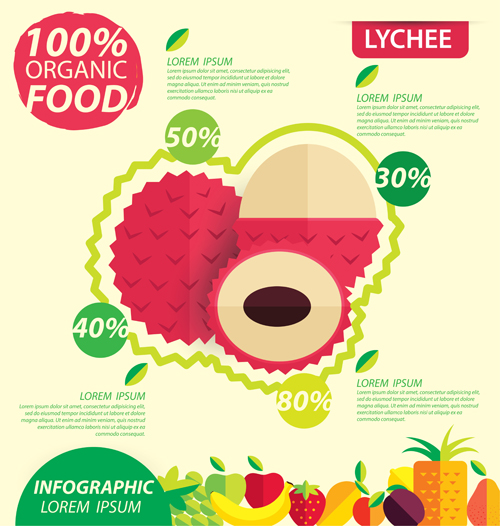 Modèle de vecteur infographique de fruits plats 01 plat modèle infographie fruits   