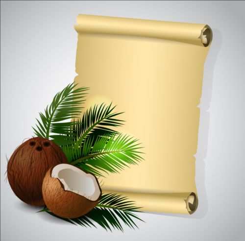 Papierrollen mit Kokoshintergrund Schriftrollen papier Kokosnuss Hintergrund   