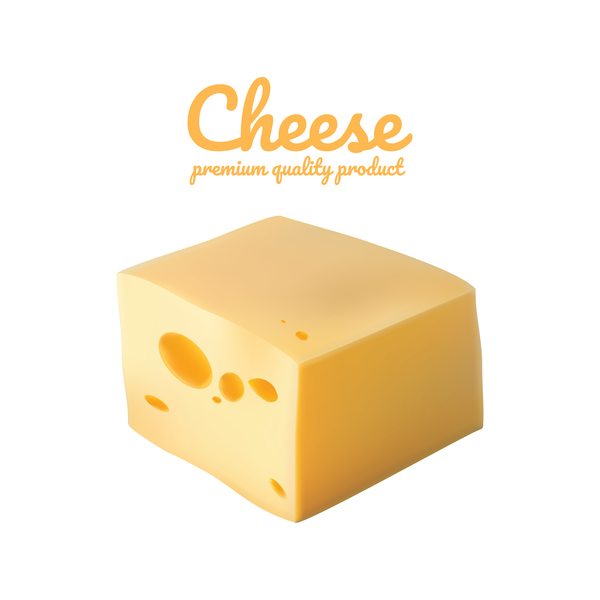 Hochwertige Käse-realistischer Vektor 14 realistisch Qualität premium Käse   