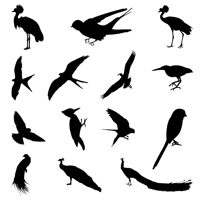 様々な鳥シルエットベクトルセット01 鳥 様々な ハート シルエット   