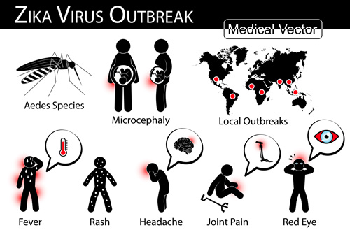 Matériel vectoriel de symptôme de virus Zika Zika virus Symptome   