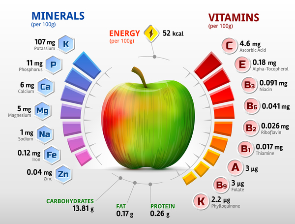 pomme vitamines infographies vecteur vitamines infographies apple   