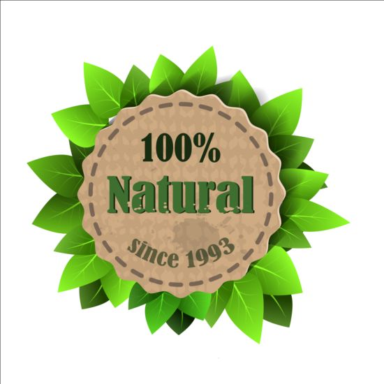 Label Eco nature avec feuilles de Gree vecteur 03 nature label gree feuilles eco   
