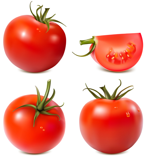 ジューシーフレッシュトマトグラフィックベクター01 フレッシュ トマト ジューシー   