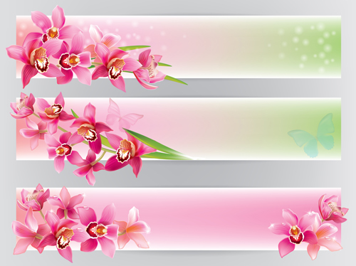 Orchidées brillantes bannières Design vectoriel orchidées brillant bannières   