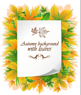 Schöne Herbstblätter mit Papierhintergrund 01 Schön papier Hintergrund Herbstblätter   