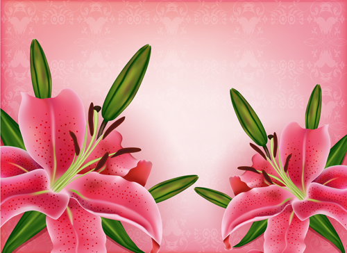 Schöne rosa Blumen Vektorhintergrund gesetzt 12 Schön Rosa Hintergrund Blumen   