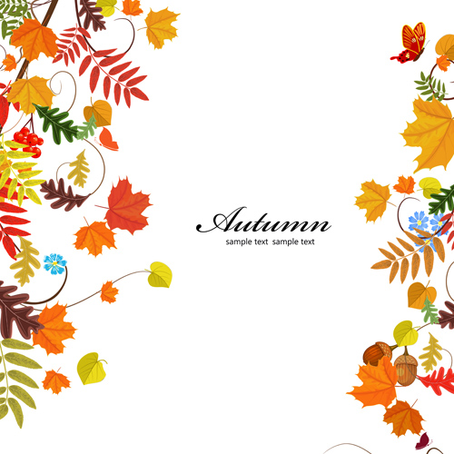 Feuilles d’automne colorées avec des fonds de fructification vecteur 02 fructification fond feuilles d’automne coloré automne   