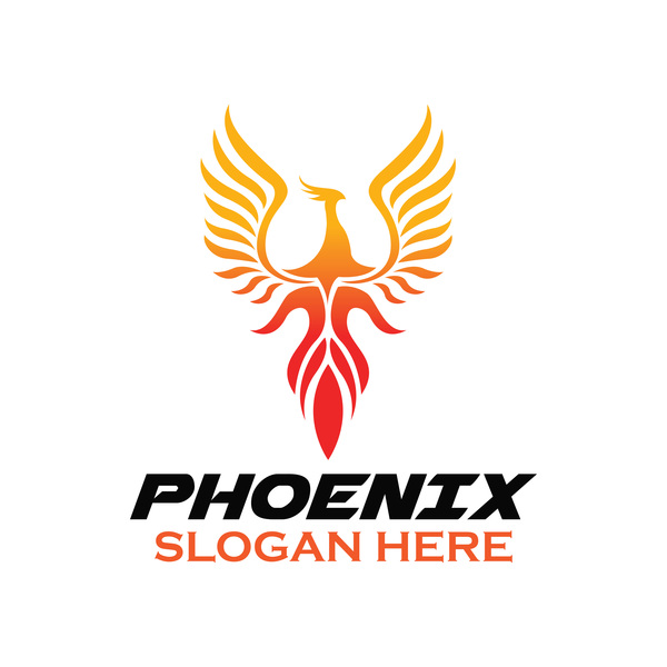 Kreative Phönix-Logo-Set-Vektor 18 phoenix logo Kreativ   