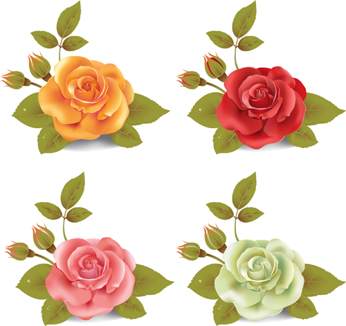 Unterschiedlich gefärbtes Rosenvektormaterial 02 Unterschiedlich Rosa farbig   