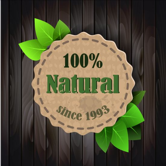 Étiquette de nature écologique avec des feuilles de Gree vecteur 02 nature label gree feuilles eco   